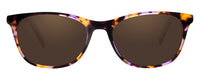 Jennifer Sunglasses